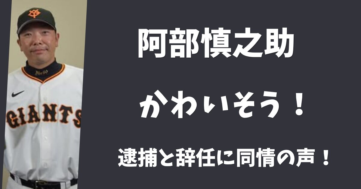 阿部慎之助がかわいそう！娘のケガ無しで逮捕と辞任に同情の声！